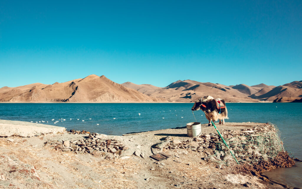 tibet-tour-with-wonder-himalaya