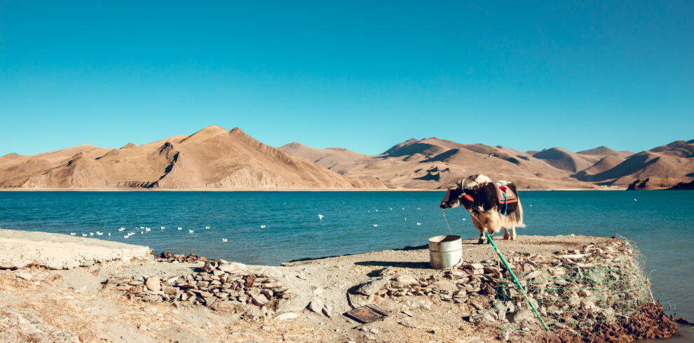 tibet-tour-with-wonder-himalaya