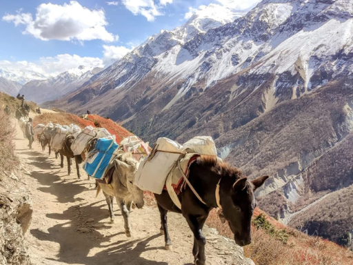 annapurna-circuit-trek-nepal-wonder-himalaya-18-days-1