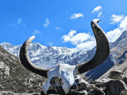 annapurna-circuit-trek-nepal-wonder-himalaya-18-days