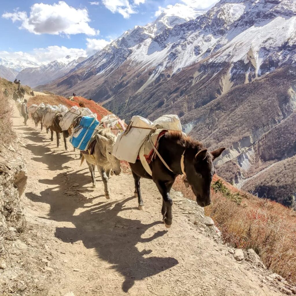 annapurna-circuit-trek-nepal-wonder-himalaya-2