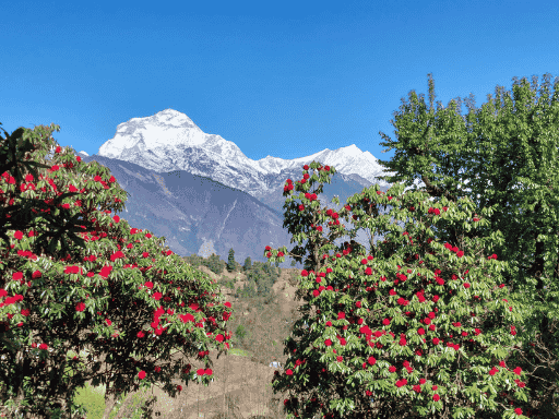 annapurna-circuit-trek-nepal-wonder-himalaya-3
