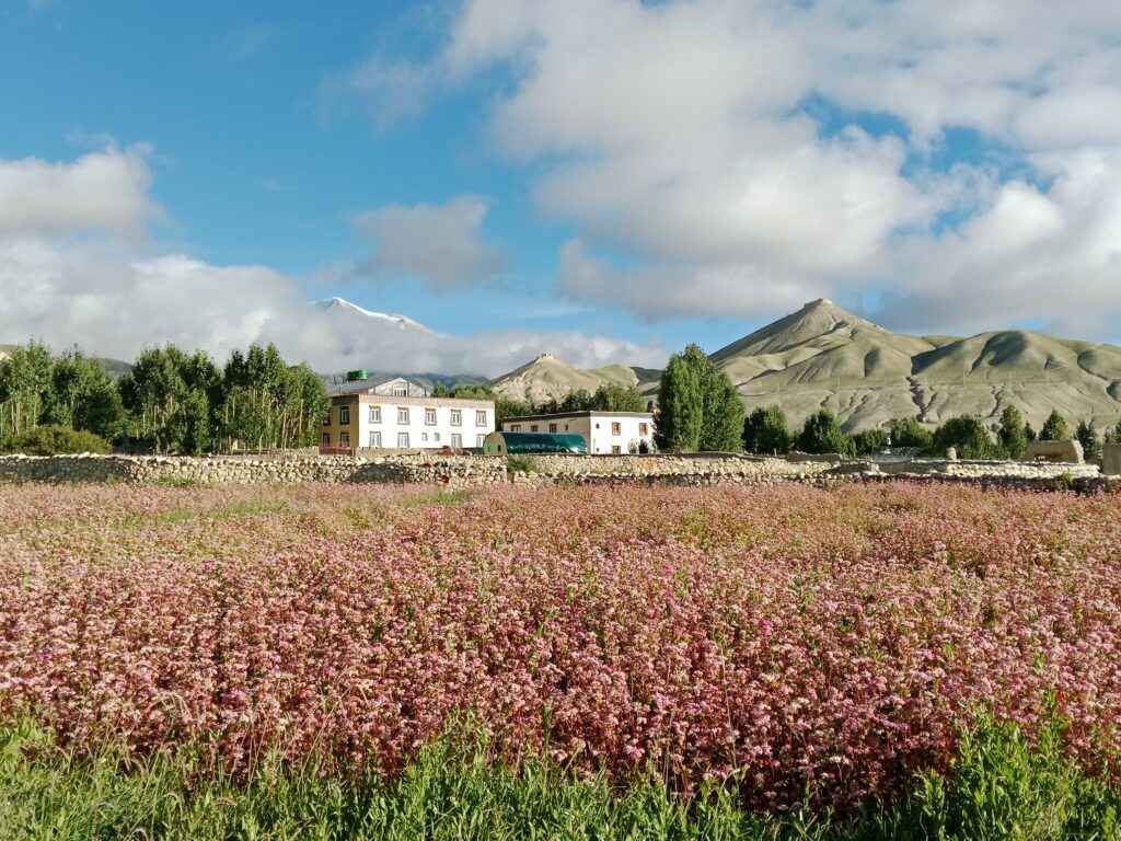 wonder-himalaya-upper-mustang-trek-the-hidden-village-himalaya-nepal-beauty-of-nepal