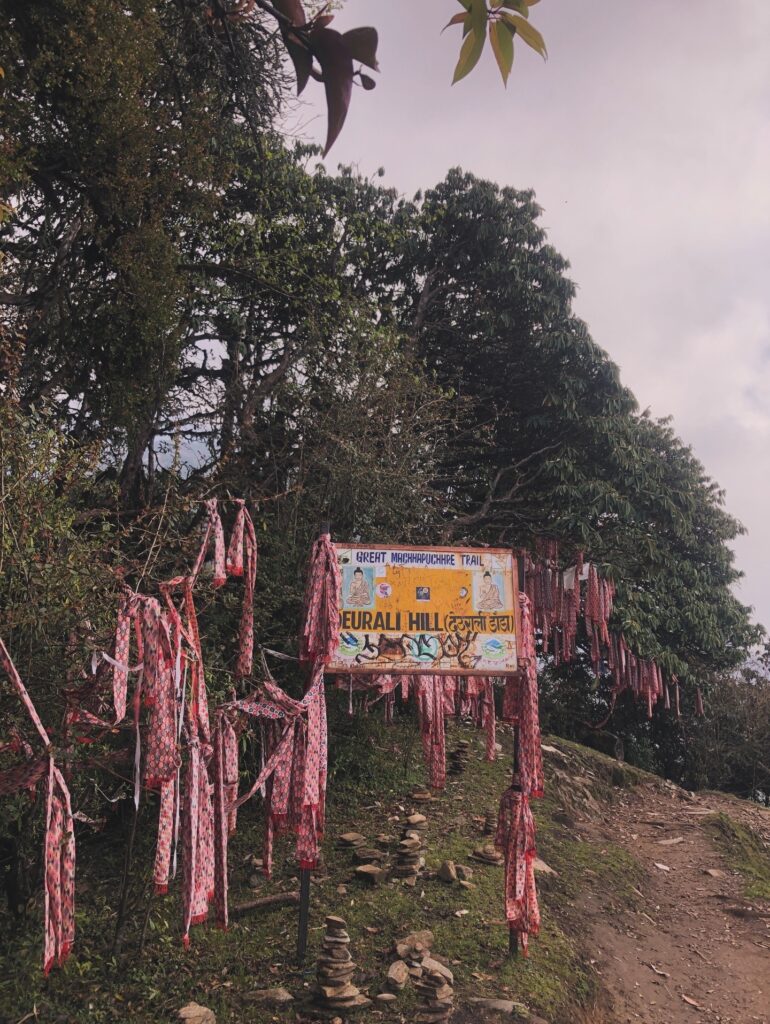 Khumai-dada-4N-5D-wonder-himalaya-tekking-easy-trek-jungle-forest-walk-machhapuchre-deurali